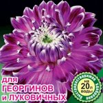 Здравень турбо для георгинов и луковичных 30 г