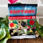 Кортлис ампула 5 мл