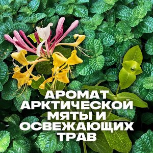 AXE мужской дезодорант спрей, PHOENIX, Арктическая мята и Освежающие травы, 48 часов защиты 150 мл