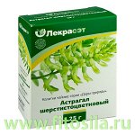 Астрагал шерстистоцветковый трава, 25 гр. Напиток чайный серии &quot;Дары Природы&quot;