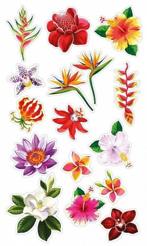 Декоративные виниловые наклейки  Тропические цветы 30х50