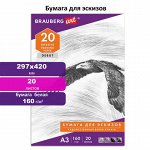Папка для рисования БОЛЬШОГО ФОРМАТА А3, 20 л., 160 г/м2, BRAUBERG, 297х420 мм, &quot;Орел&quot;, 125228