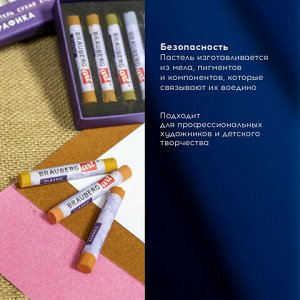 Пастель сухая художественная BRAUBERG ART CLASSIC, 12 цветов, ЗЕМЛЯНЫЕ ТОНА, круглое сечение, 181457