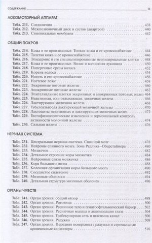 Радивой Крстич: Атлас микроскопической анатомии человека. Учебное пособие