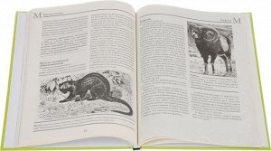 Альфред Брем: Жизнь животных. В 10 томах. Том 3. Млекопитающие. Л-О