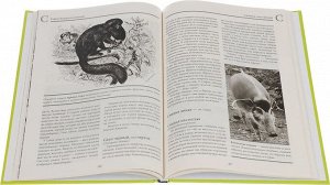 Альфред Брем: Жизнь животных. В 10 томах. Том 4. Млекопитающие. П-Я