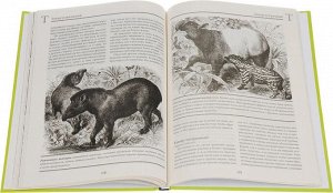 Альфред Брем: Жизнь животных. В 10 томах. Том 4. Млекопитающие. П-Я