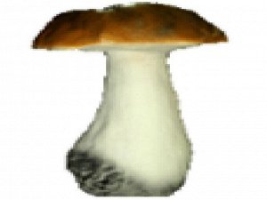 Ф Гриб Белый гриб гигант 62*45см 12011 Мт