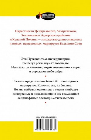 Иванцов, Поплавский: Большой Сочи