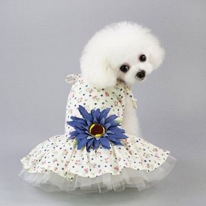 Платье для собаки