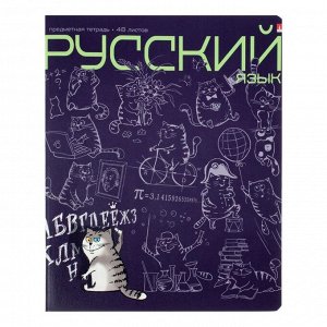 Тетрадь предм Кот в теме 48л лин Русский язык