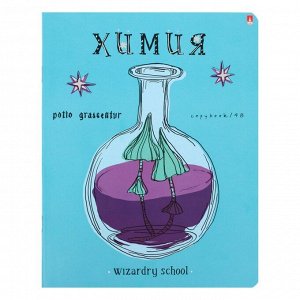 Альт Тетрадь предм Школа волшебства 48л кл Химия