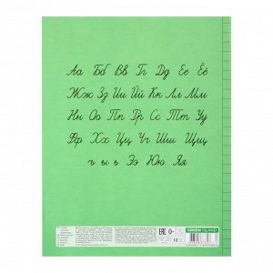 Тетрадь 12 листов в линейку "Зеленый", бумажная обложка, блок офсет