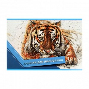 Альбом для рисования А4, 20 листов на скрепке "Тигр", обложка мелованный картон, ВД лак, блок 100 г/м2