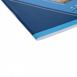 Полиграф Принт Альбом для рисования А4, 20 листов на скрепке &quot;Тигр&quot;, обложка мелованный картон, ВД лак, блок 100 г/м2