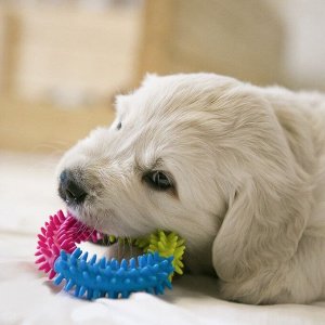 Игрушка жевательная для собак "Кольцо с шипами", TPR, 11 см, микс цветов