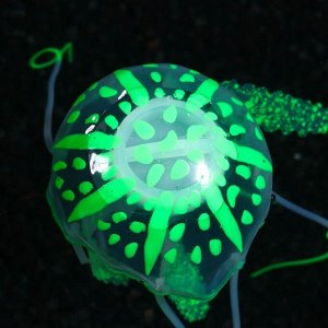 Декор для аквариума Медуза силиконовая, с неоновым эффектом, 5 х 5 х 15 см, зелёная