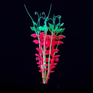 Растение силиконовое аквариумное, светящееся в темноте, 11 х 18 см, розовое