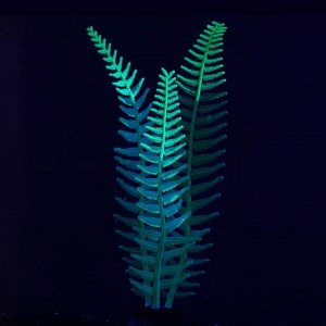 Растение силиконовое аквариумное, светящееся в темноте, 8 х 23 см, зелёное