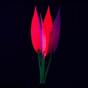 Растение силиконовое аквариумное, светящееся в темноте, 12 х 20 см, розово-фиолетовое
