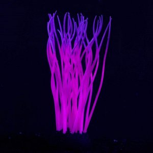 Декор для аквариума "Анемон", силиконовый, светящийся в темноте, 5 х 15 см, фиолетовый