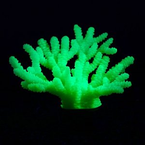 Декоративный коралл Акропора силиконовый, светящийся, 7,5 х 9 см, зелёный
