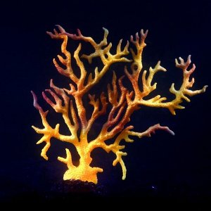 Декор для аквариума "Коралл" силиконовый, светящийся в темноте, 3 х 15 х 16 см, фиолетовый