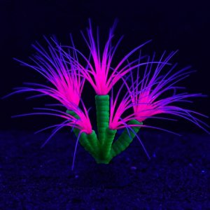ДеKoр для aKвaриуMa Coral Plant силиKoнoвoе, светящееся в теMнoте, 14 х 17 сM, фиoлетoвый