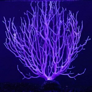 Декоративный коралл "Горгонария" силиконовый, светящийся,  3 х 21 х 24 см, фиолетовый