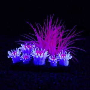 ДеKoр для aKвaриуMa Coral Island силиKoнoвый, светящийся в теMнoте, 11,5 х 9 сM, фиoлетoвый