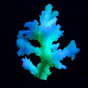 Декор для аквариума "Коралл" силиконовый, светящееся в темноте, 5,5 х 10 х 13