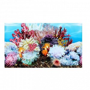СИМА-ЛЕНД Фон для аквариума двухсторонний, 50 см, рулон 15 м