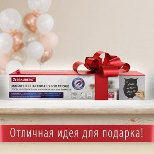 Доска на холодильник магнитно-меловая 30 х 40 см, BRAUBERG Baby Owl + набор аксесуаров