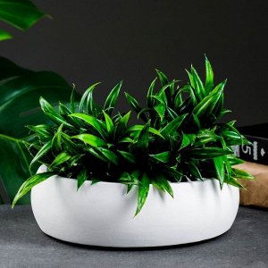 Кашпо - бонсайница для кактусов и суккулентов, 800 мл, 18x5.5 см, d=15 см, керамика, белое
