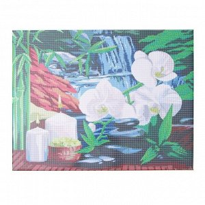 Алмазная мозаика на подрамнике с полным заполнением «Орхидеи», 40х50см