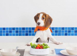 Миска-весы для животных Xiaomi Petkit Fresh Pet Smart Fedding Bowl
