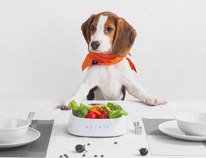 Миска-весы для животных Xiaomi Petkit Fresh Pet Smart Fedding Bowl