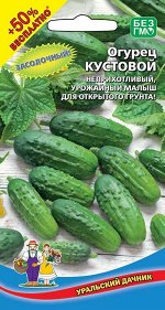 Огурец Кустовой (Марс) (ранний, черношипый, 10-12 см, не желтеют, для засолки)