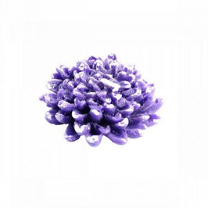Свеча фигурная Хризантема фиолетовая с белым 7х 2,7см