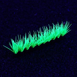 Растение силиконовое аквариумное, светящееся в темноте, 17,5 х 4,5 см, зелёное