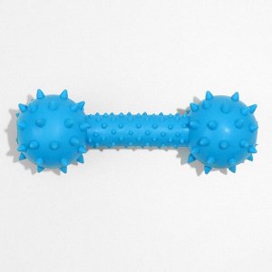 Игрушка жевательная "Грозная гантель", 15 х 5 см, синяя