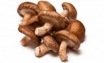 Шиитаке целые 0,6 кг МЛ прозрачный пакет 1/10 шт, шт