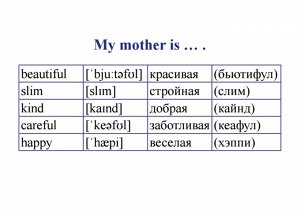 Английский язык. Мои первые слова и фразы. Дидактические карточки 60 шт