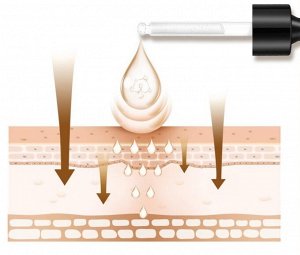 Омолаживающая сыворотка с шестью пептидами против морщин Images Beauty Six Peptide, 30 мл.