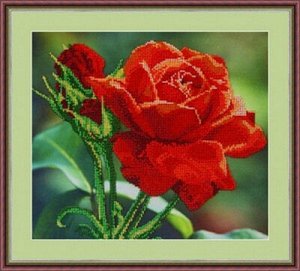 Набор для вышивания "Galla Collection" Красная роза 30*27 см