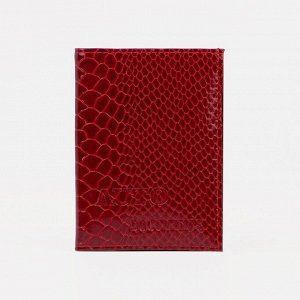 Обложка для автодокументов 2 в 1 (с портмоне), цвет красный 5799524