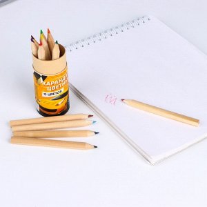 Набор цветных карандашей мини в тубусе «Гонки», 12 шт, с точилкой
