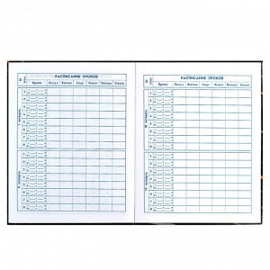 Дневник школьный 1-4 класс, формат А5+, 170х218 мм, 48 листов, твёрдый переплёт, глянцевая ламинация, тиснение фольгой