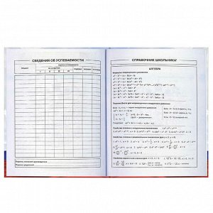 Дневник российского школьника, А5+, 48 л, интегральный переплёт, конгрев, выборочный УФ-лак, матовая ламинация