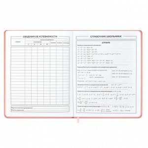 Дневник школьный, А5+, 48л., твёрдый переплёт, 3D-дизайн, тиснение фольгой